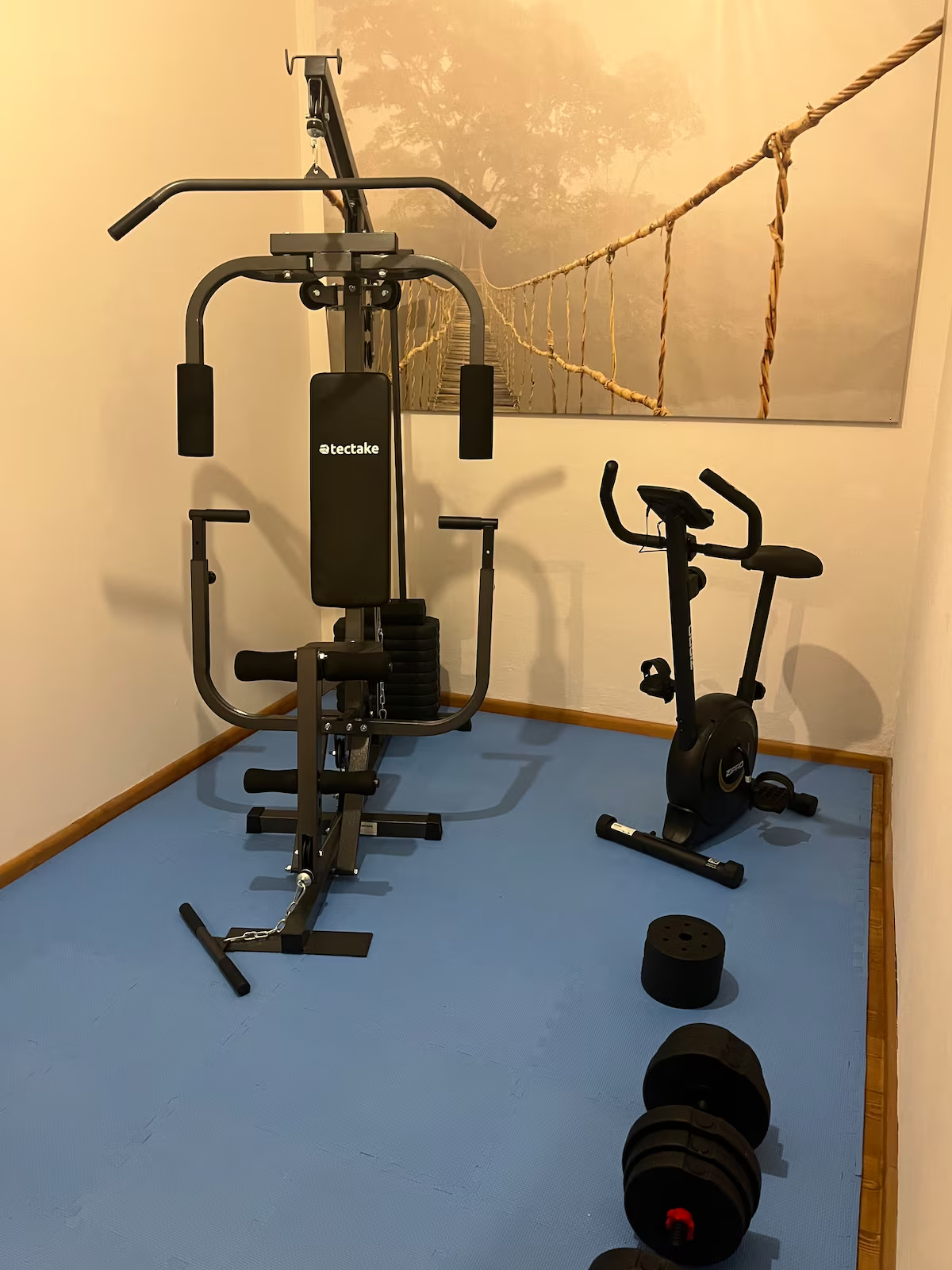 Area Fitness
